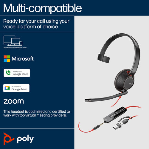 POLY BW 5210 USB-C HS USB-C/A BULK (8X230A6)