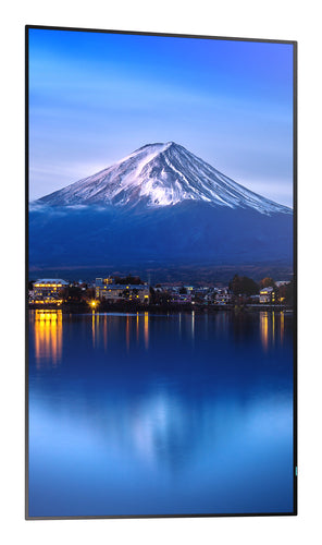 43IN LED LCD UHD 24/7 700NITS HIGH HAZE HDMI X2/OUT USB-C X1