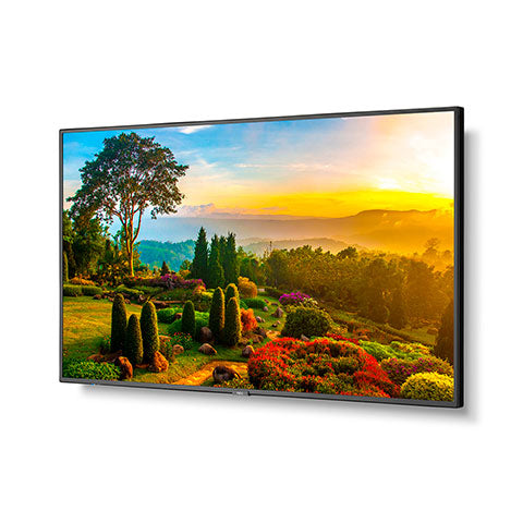 MULTISYNC 55IN DISPLAY WITH MPI4E