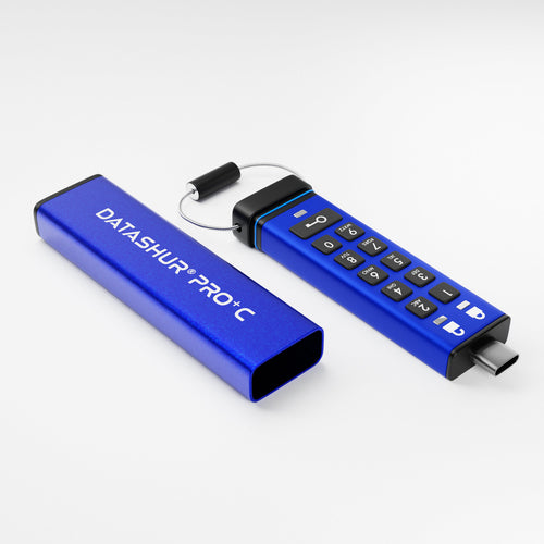 256GB DATASHUR PRO+C FIPS 140-3 SECURE PIN PROTECTED USB DRIVE-TAA