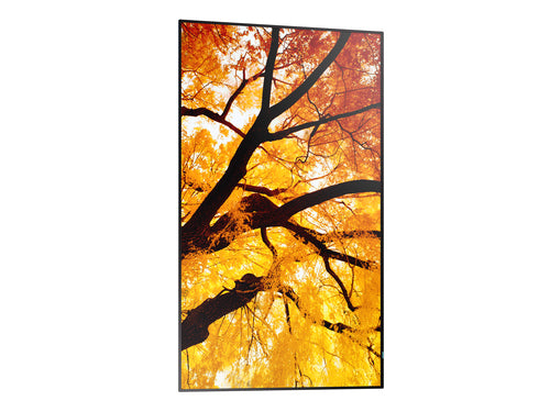 MULTISYNC PN-M432 - 43 LED LCD 1920 X 1080 24/7 HIGH HAZE