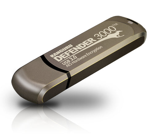 32GB DEFENDER 3000 FLASH DRIVE FIPS 140-2 ENCRYPTED FLASH DRIVE