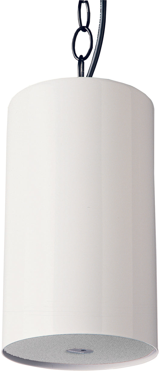 Pendant Speaker 5W White on White Grill