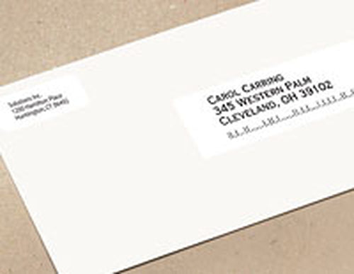 260CT ADDRESS LABEL 1-1/8 X 3-1/2 LABELS
