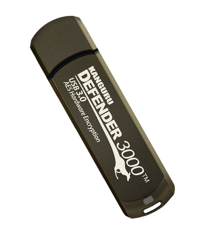 64GB DEFENDER 3000 FLASH DRIVE FIPS 140-2 ENCRYPTED FLASH DRIVE