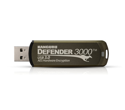 256GB DEFENDER 3000 FLASH DRIVE FIPS 140-2 ENCRYPTED FLASH DRIVE