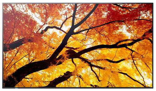 55IN LED LCD UHD 24/7 550NITS HIGH HAZE HDMI X2/OUT