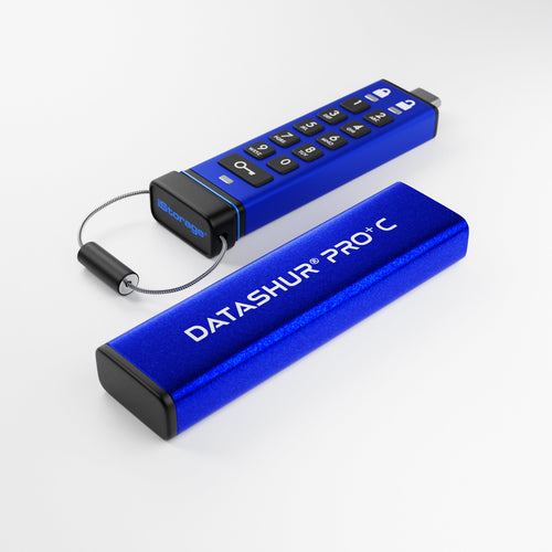 256GB DATASHUR PRO+C FIPS 140-3 SECURE PIN PROTECTED USB DRIVE-TAA