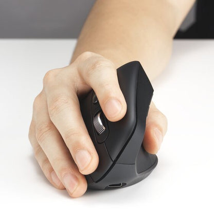 MY630 EQ ERGO RECHARGE MOUSE (K72484NA)