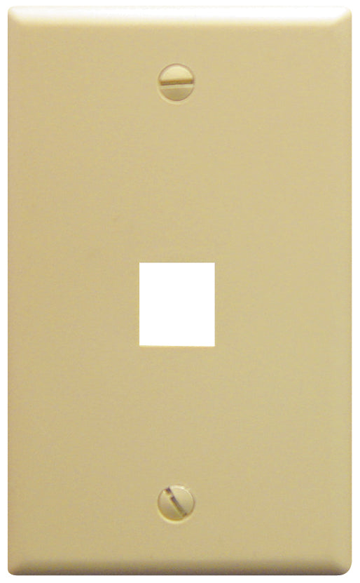 IC107F01IV - 1Port Face Ivory