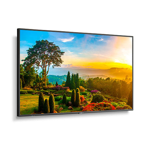 MULTISYNC 55IN DISPLAY WITH MPI4E
