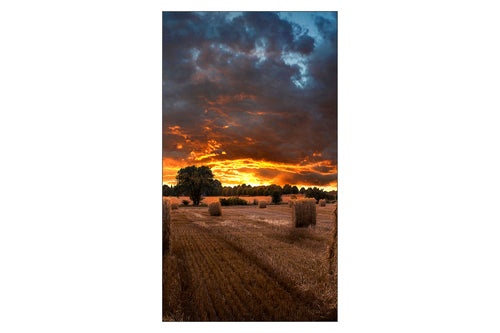 VIDEO WALL 55IN ULTRA-NARROW BEZEL COMMERCIAL LED LCD DISP TAA