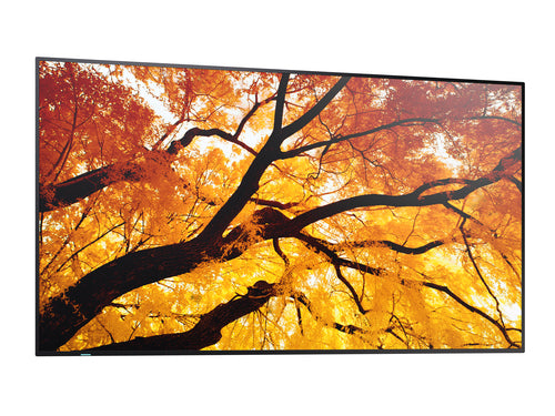 MULTISYNC PN-M322 - 32IN LED LCD  1920 X 1080 24/7 HIGH HAZE
