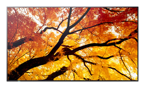 MULTISYNC PN-M432 - 43 LED LCD 1920 X 1080 24/7 HIGH HAZE