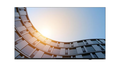 E65 A25645UE0 64.5 INCH LFD HDMI